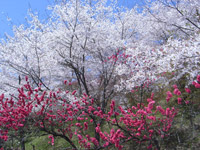 �������݉���