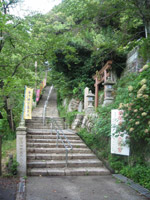 ���g�Y�̍��