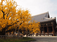 �y���{�莛�̎��s�v�c�z�Z���F���s�s������x��ʉԉ�������