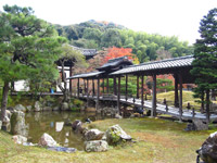 ���䎛�i�Z���F���s�s���R�扺�͌���526�j