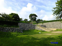 ���{����