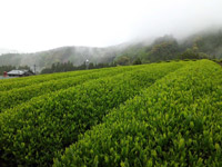 1���ځm�É���