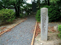 �J�{�̓n����