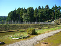 �t���R��j�ՍL��i�Z���F�V������z�s�哤334�j