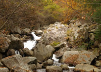 �܂��A���̐킢�Ŗҗ�ɍU�ߊ񂹂�D�c���̑���v�̕��ɑ΂��ĕ��c�R�̓y���y�����E�E�E