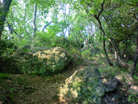 �M���̍����u�O�������̐킢�v