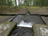 �m�b�Ɨ��j�ɐG��āi�O����N���̉摜