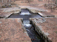 �O����N������