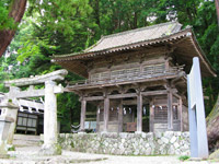 ���c�����{