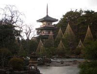 ������R�։���