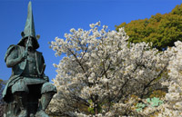 ��������ΗJ������