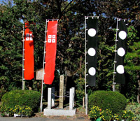 �˃m�{�Ð��