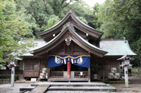 ��{�����{