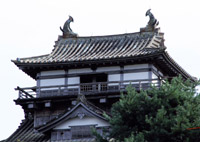 �����Ȏ��_����y����