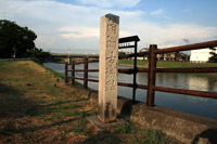 208�N�ڂ̔p��