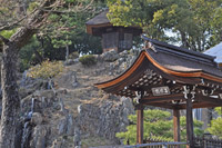 �ォ�猩���낷�u���V��v