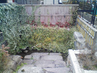 ���y��V��@�M���̊�